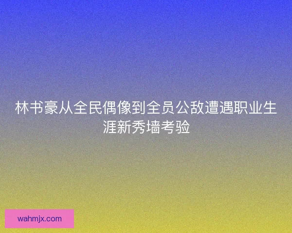 林书豪从全民偶像到全员公敌遭遇职业生涯新秀墙考验