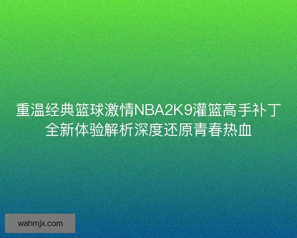 重温经典篮球激情NBA2K9灌篮高手补丁全新体验解析深度还原青春热血 重温经典篮球激情NBA2K9灌篮高手补丁全新体验解析深度还原青春热血